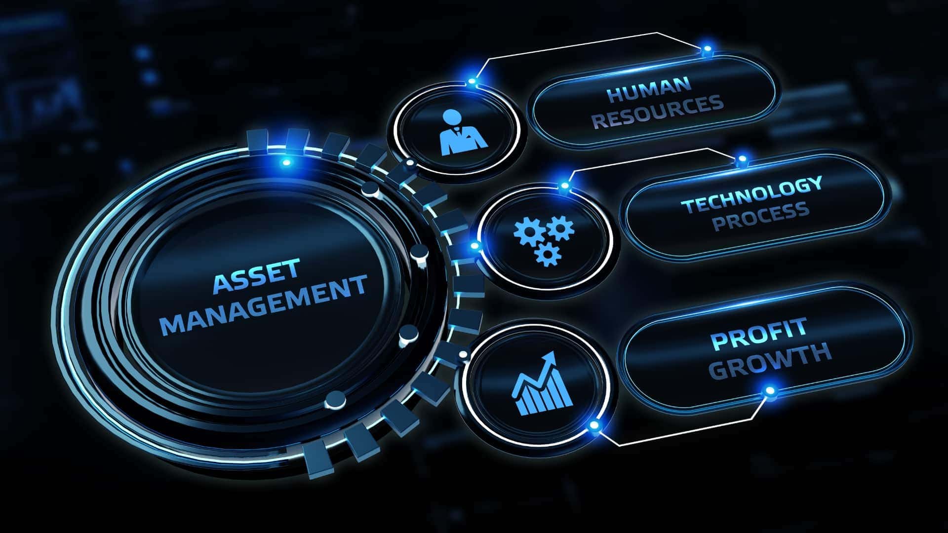 Investment Management